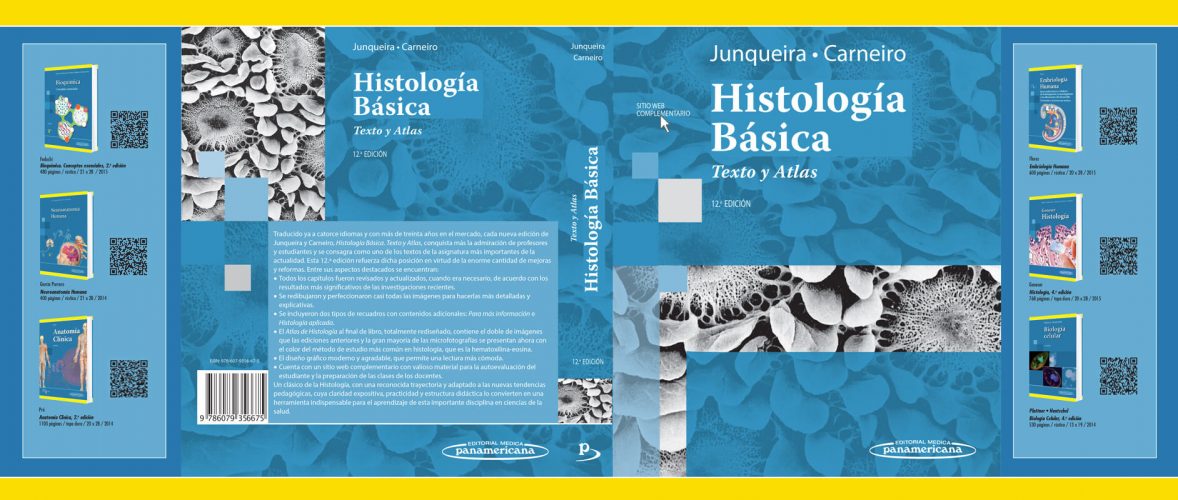 Panamericana-Junqueira